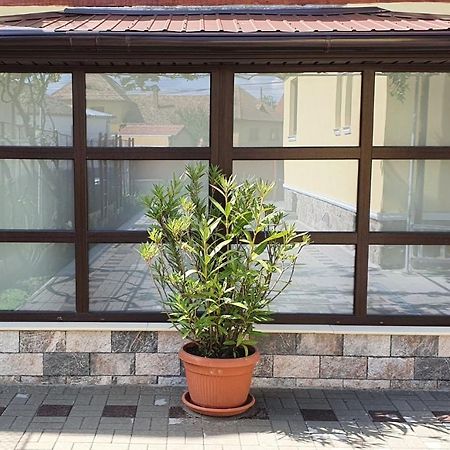 Yellow House 锡比乌 外观 照片